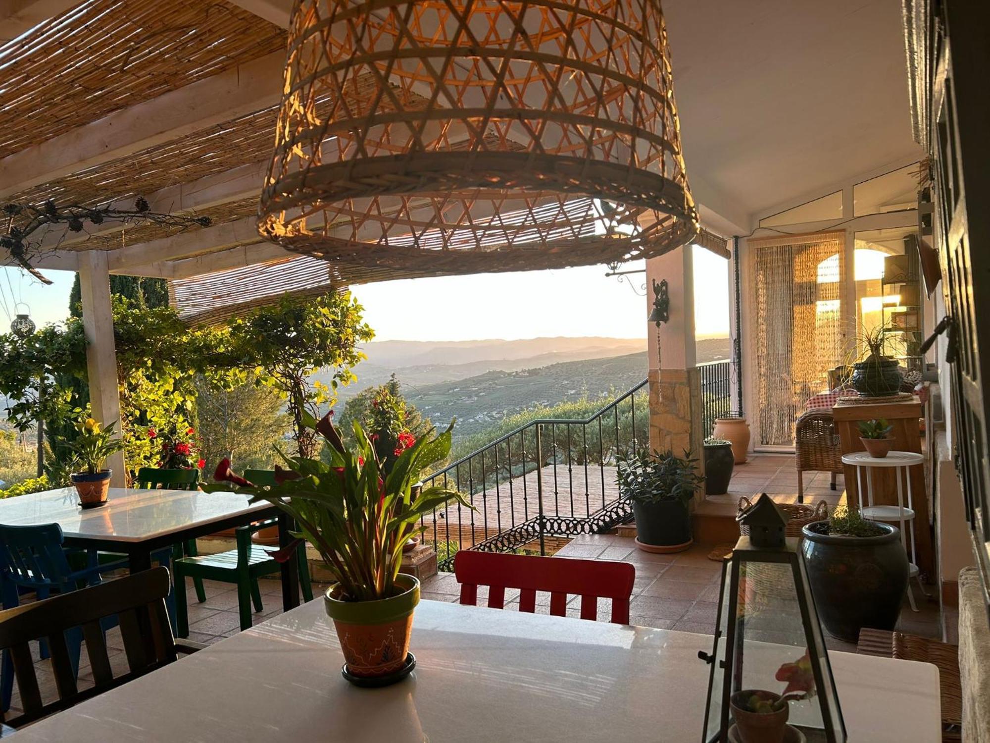 El Nispero Dulce Bed and Breakfast Alcaucín Εξωτερικό φωτογραφία