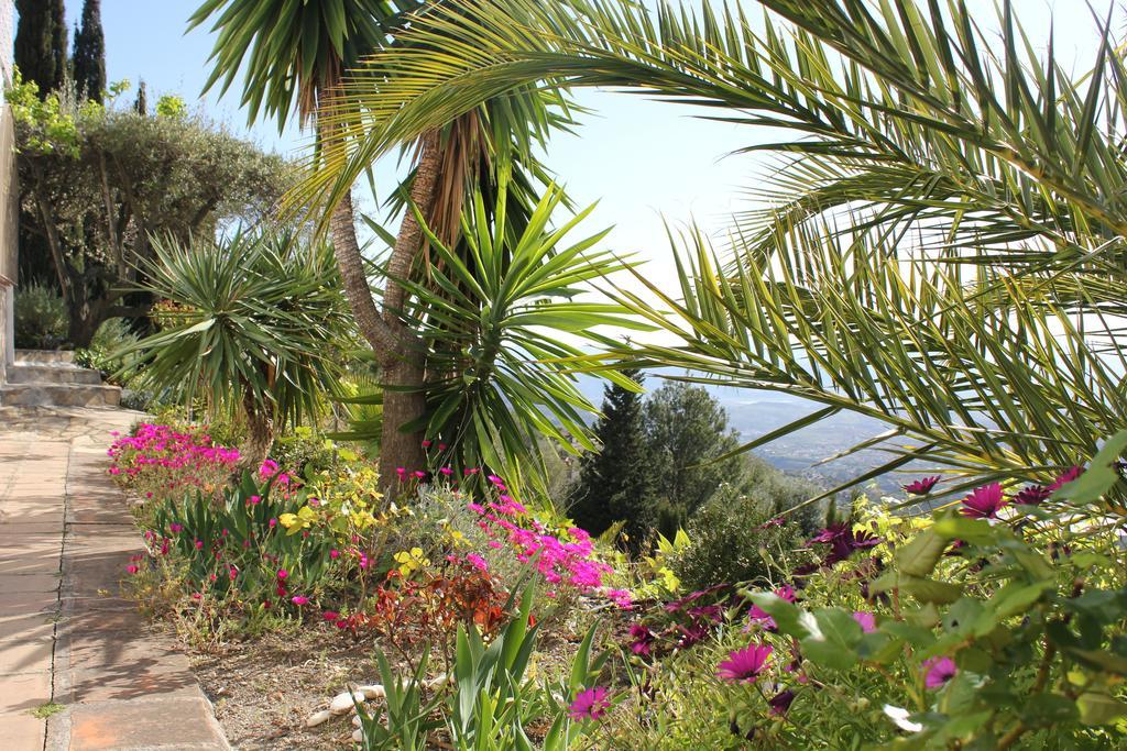 El Nispero Dulce Bed and Breakfast Alcaucín Εξωτερικό φωτογραφία